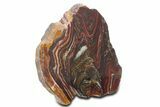 Tiger Iron Stromatolite Section - Billion Years #354886-1